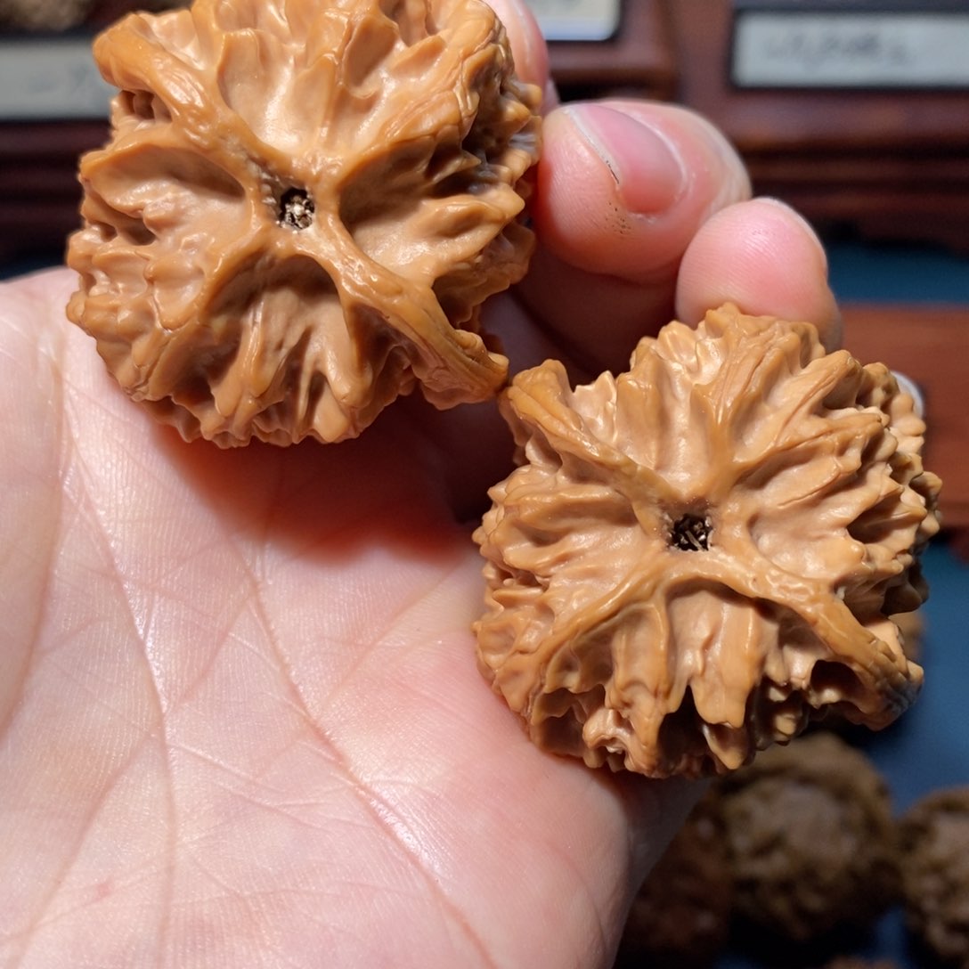 文玩核桃把件马*核桃