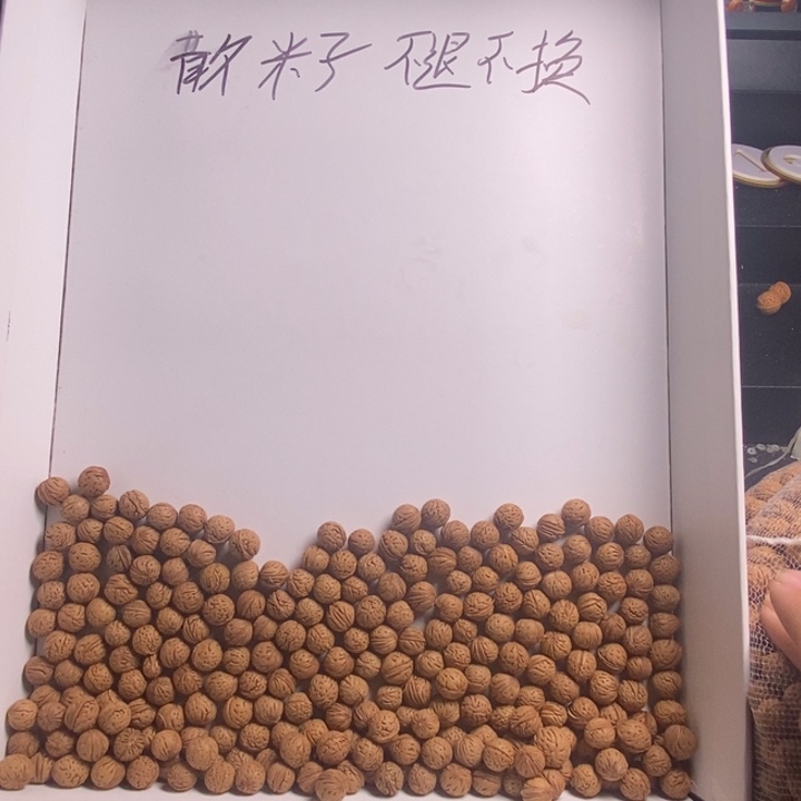 6***长桃核手串纯野生桃核有裂散籽不退不换