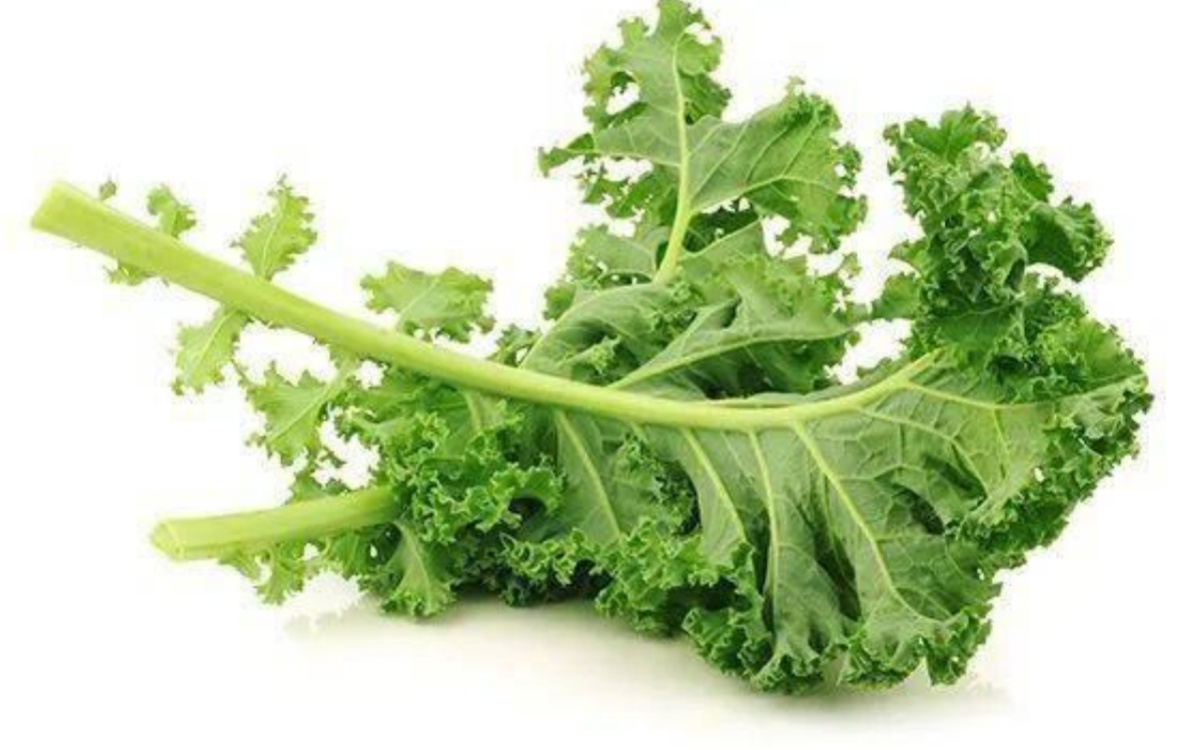 羽衣甘蓝九龙山农场生态种植味道香郁可以生吃