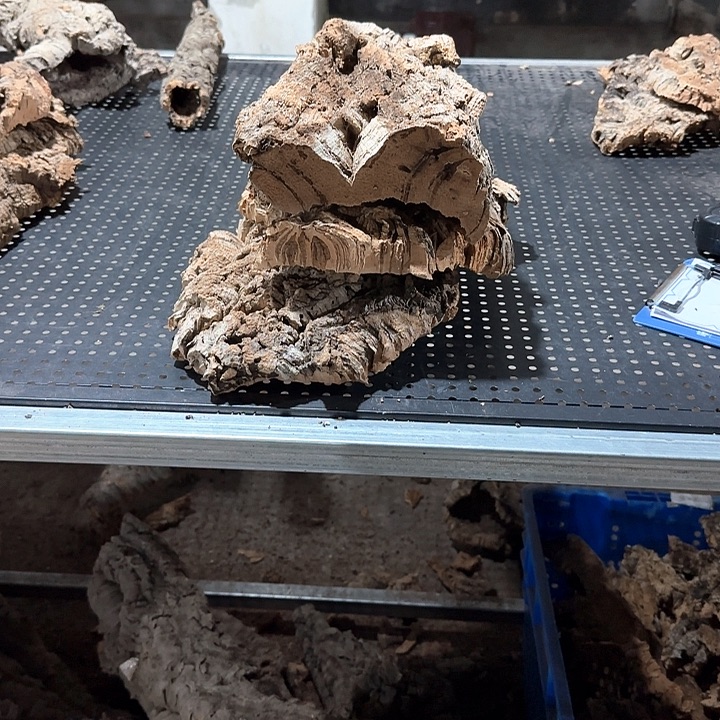 用***4完全开放一物一拍一物一发