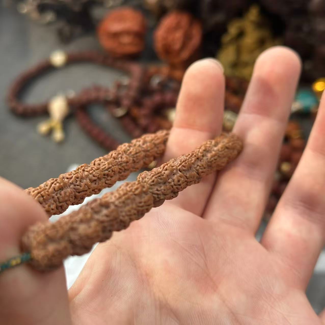 原生态老树梅花手持金刚菩提+礼盒发货