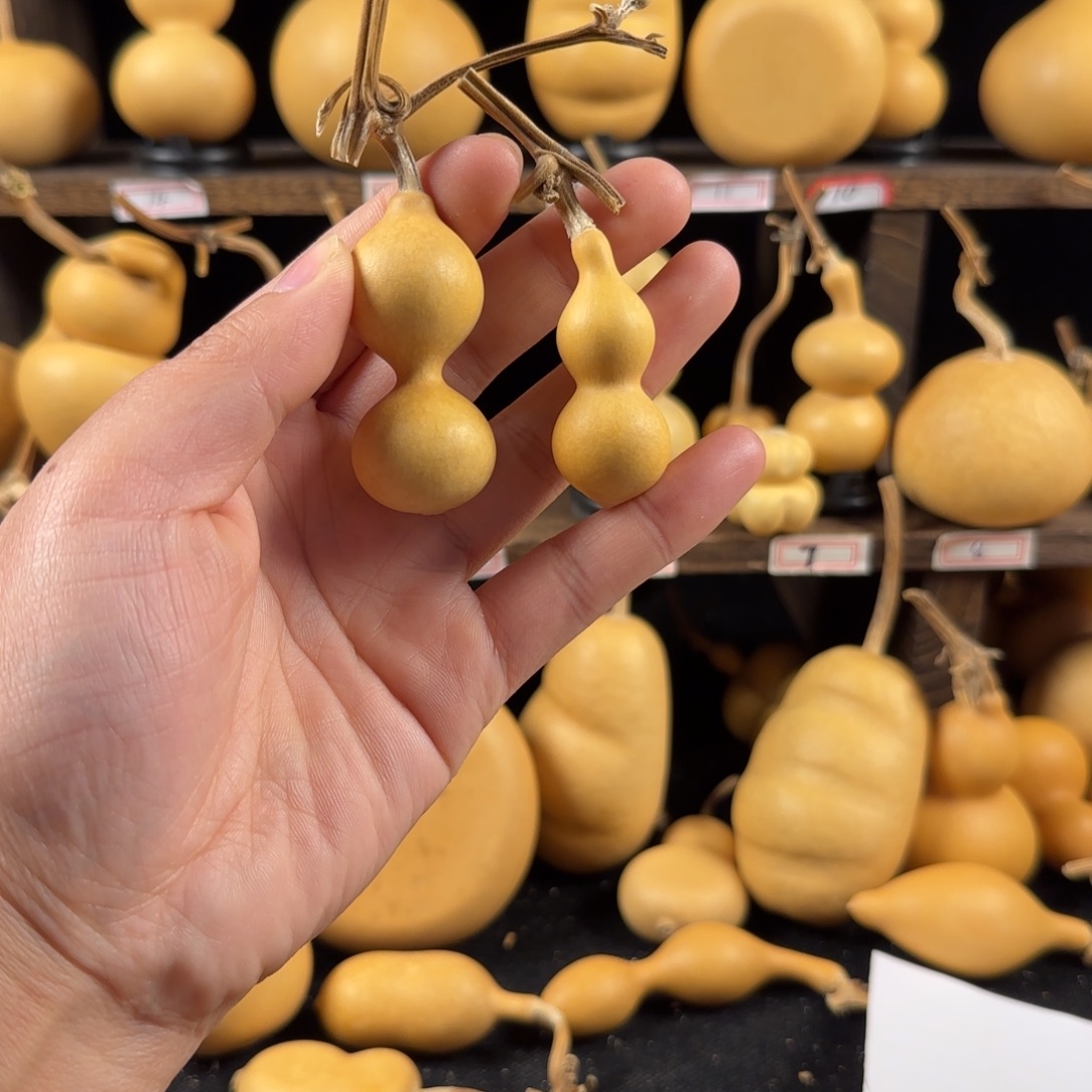 清***意葫芦葫芦葫芦葫芦葫芦葫芦