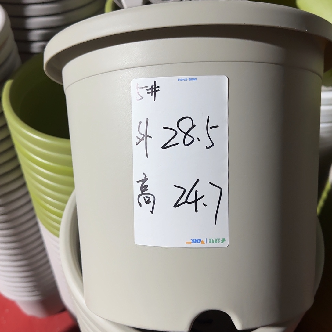 树脂四季5号无托6个灰白