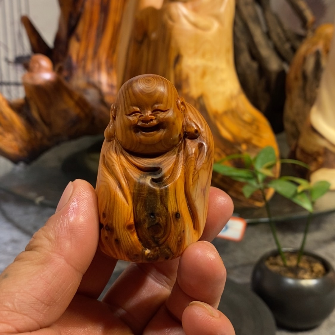 【闪购商品】柏木（崖柏）根雕木雕工艺品摆件家居装饰一手货源