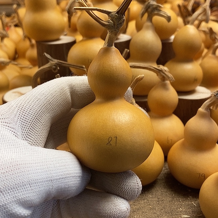 文玩葫芦 完美主义者 慎拍87