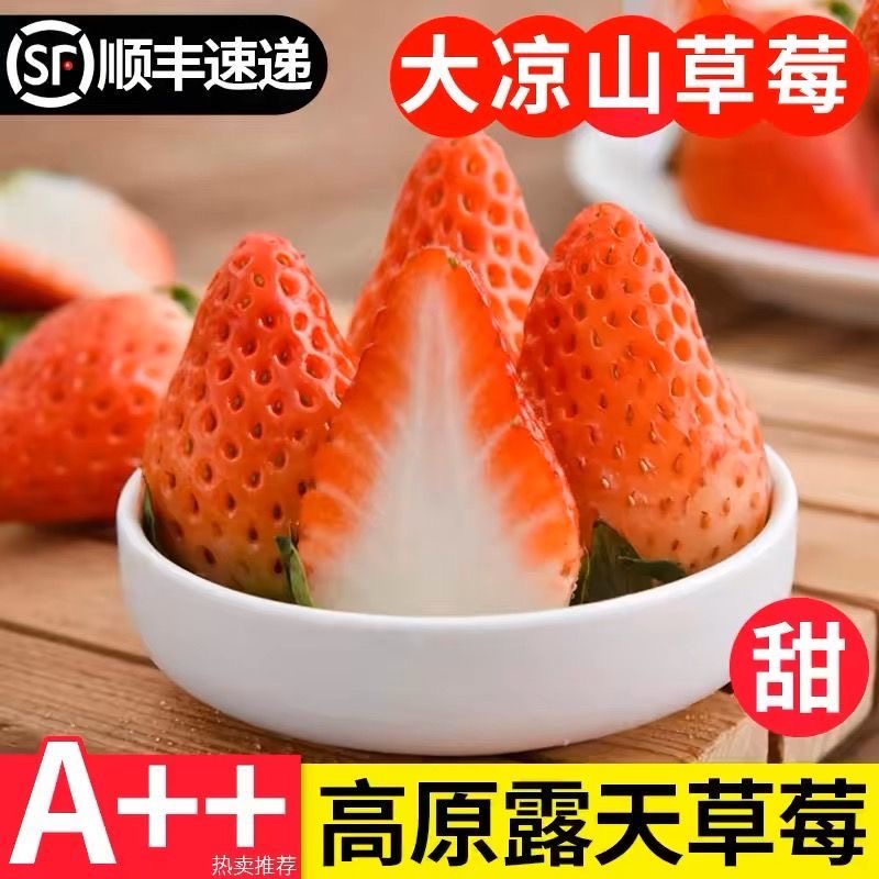 【顺丰包邮】大凉山高原露天草莓新鲜水果99果牛奶草莓孕妇小孩水果