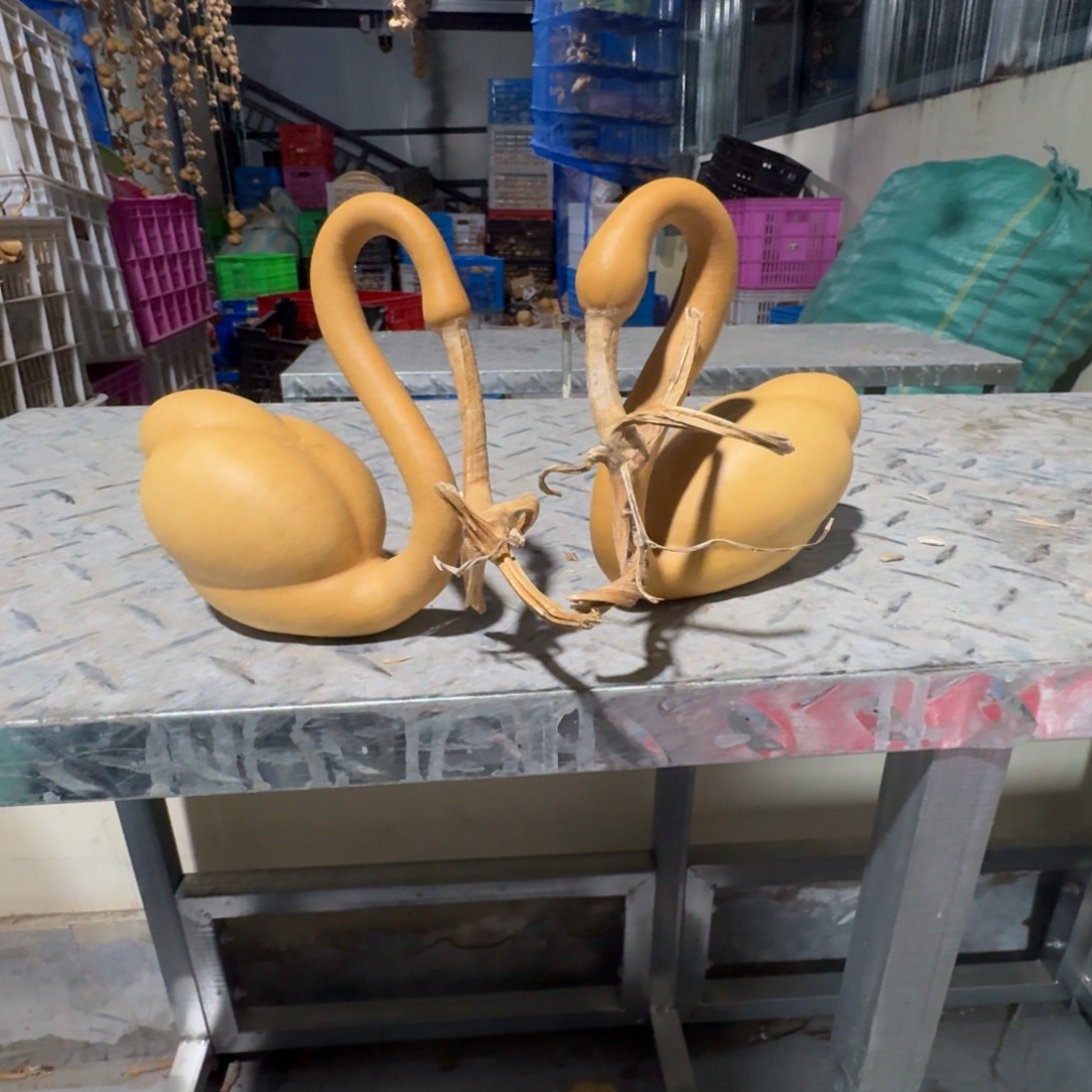 润***依葫芦1111111111111