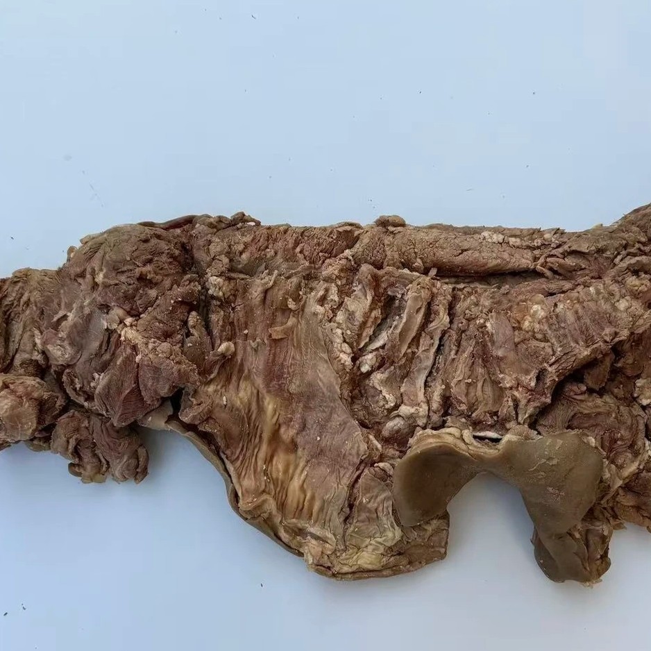 蒙古国山羊肉（草地羊多炖多闷，有油，生鲜不退换）