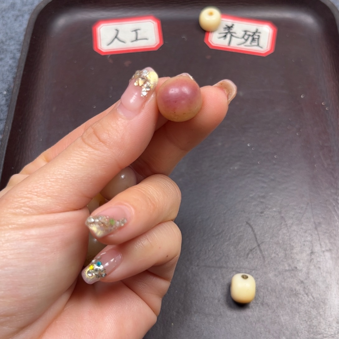 驼骨手串/手链编号16