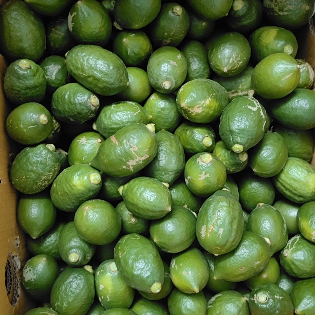 广东香水柠檬商用二级果香水柠檬奶茶店柠檬茶饮