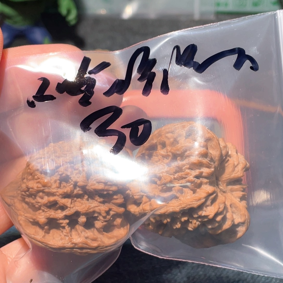 文玩核桃把件哈****嗝一5999989999