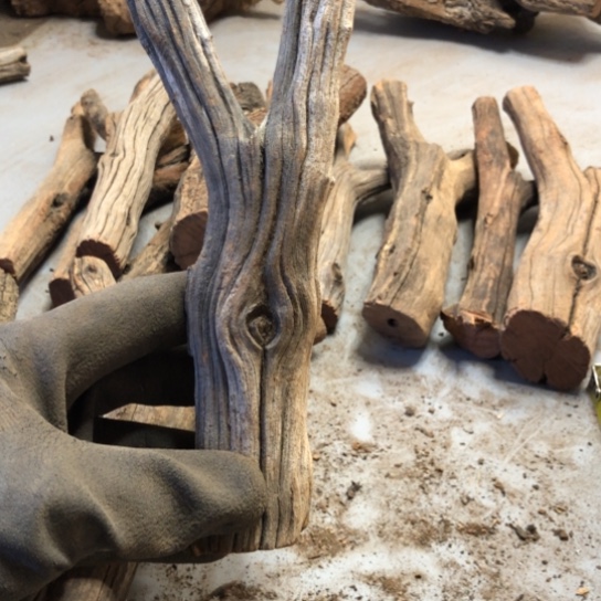 大果紫檀（缅甸花梨）新****心