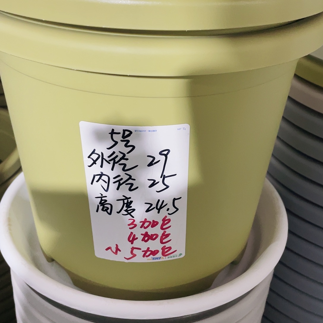 微瑕5#无拖果绿6个