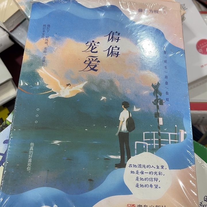 偏偏宠爱十二米一个