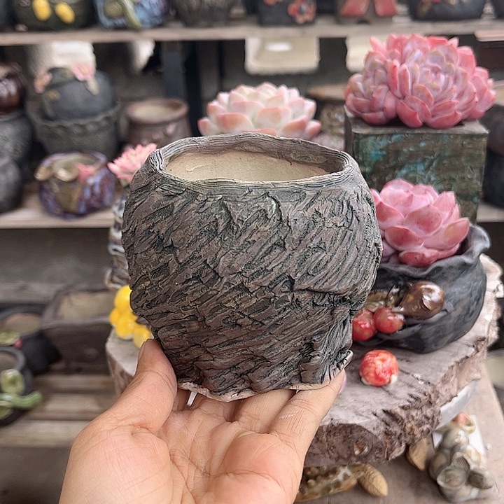 红陶这个世界真的太有爱了