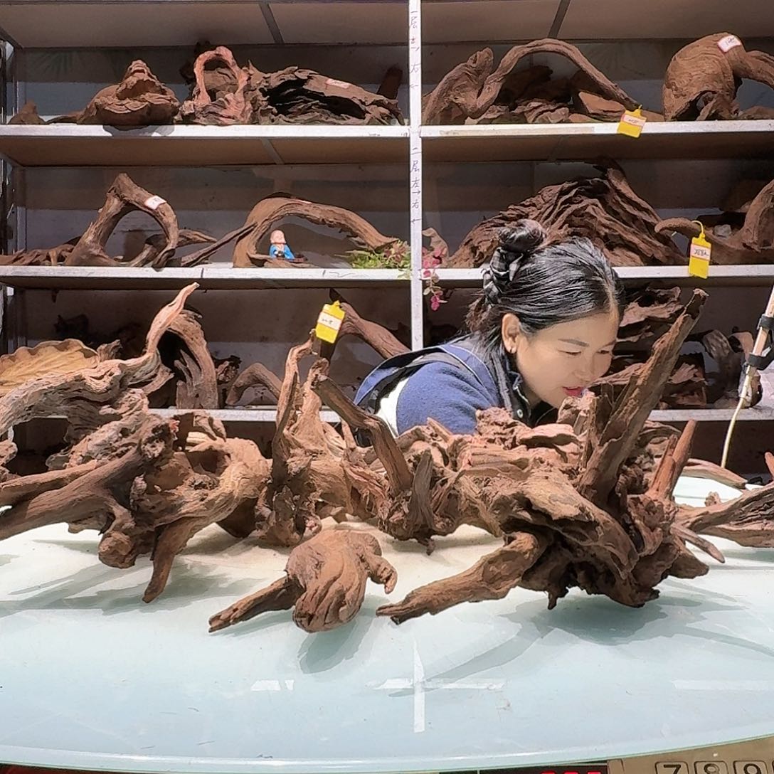 倍褚沉木不包损必褪色淇**贝6651紫柚小货