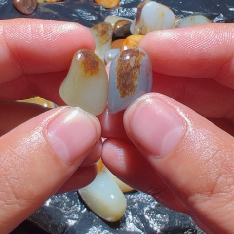 和田玉（糖玉）未镶嵌颈饰2-9，3.2克，3.8克