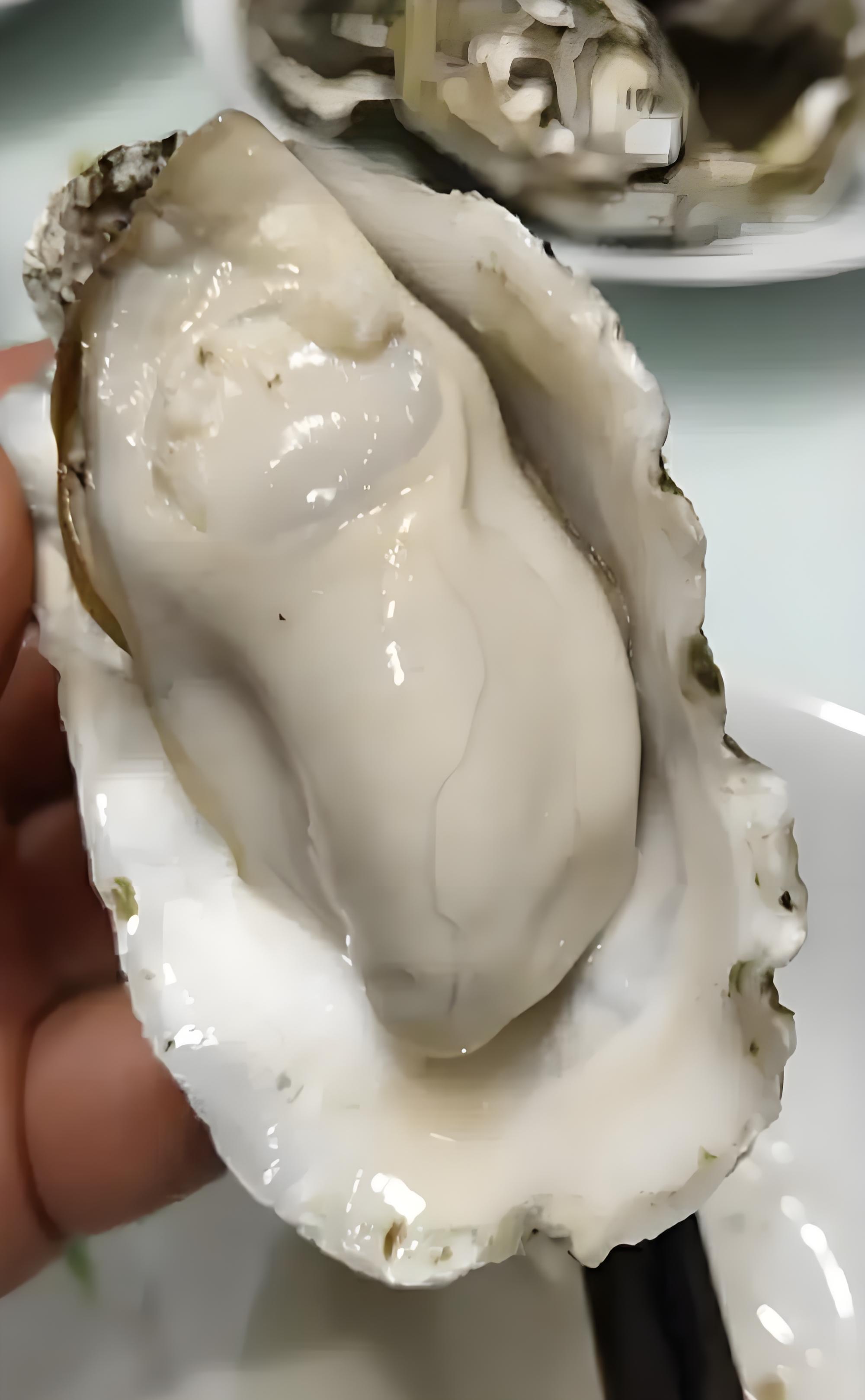《新疆包邮》鲜活9＋特大乳山生蚝9斤