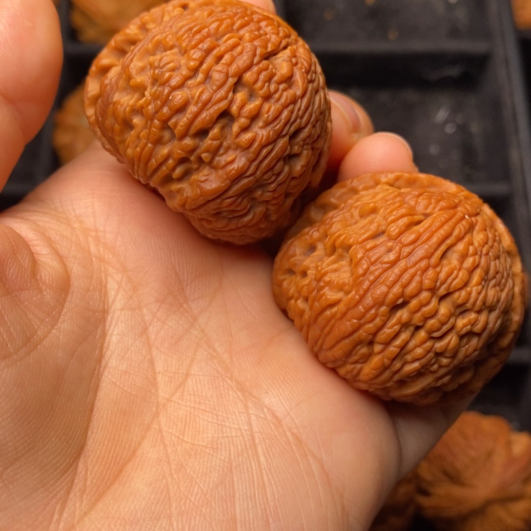 文玩核桃把件秦岭野生核桃