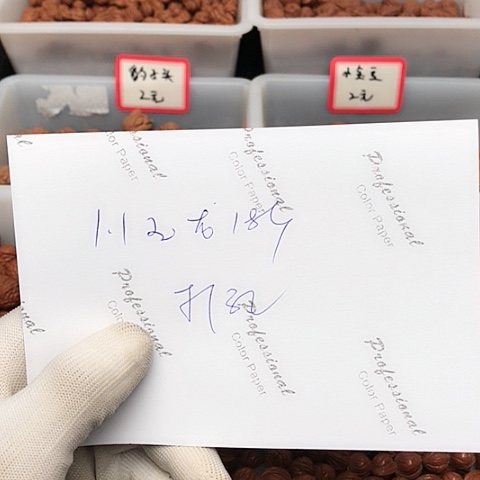 桃核吊坠心****0龙纹桃核的搭配