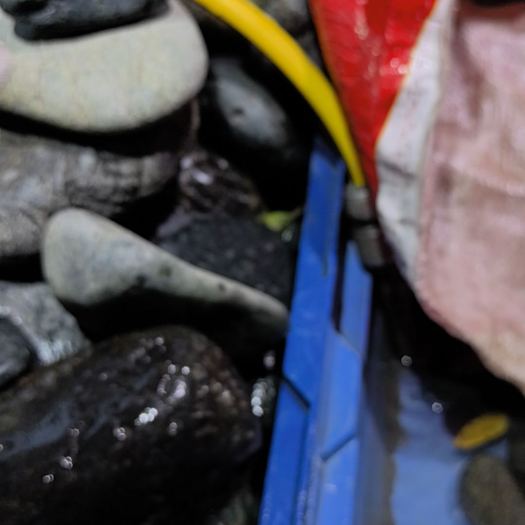 空***白藏玉药王石原石三个