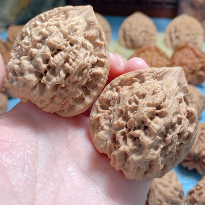 木**子46尺寸原桩官帽骨质棒