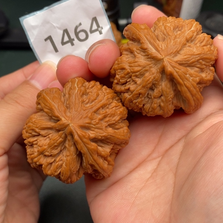 文玩核桃吊坠腊***子1464号全品球筋