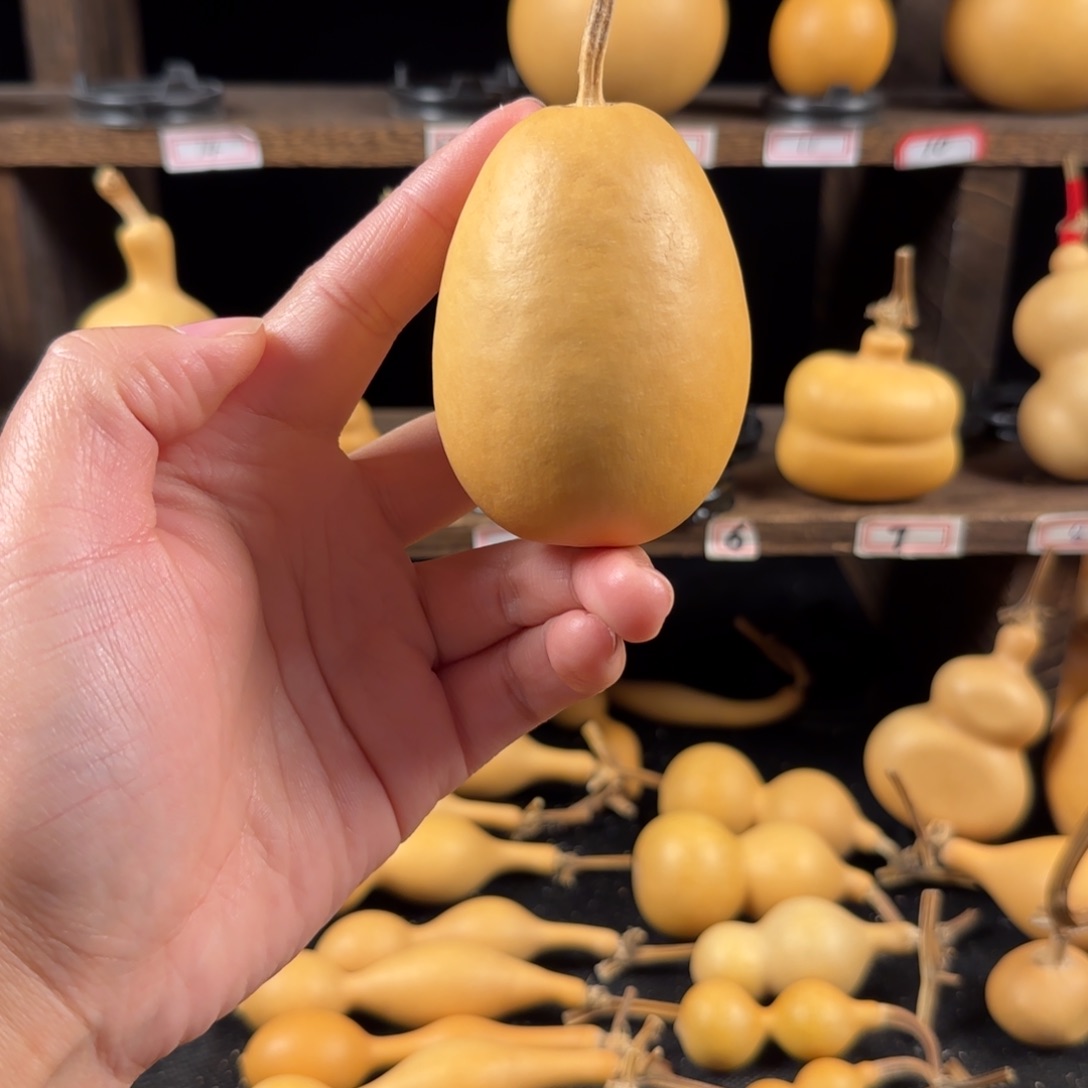 大***豆葫芦葫芦葫芦葫芦葫芦葫芦