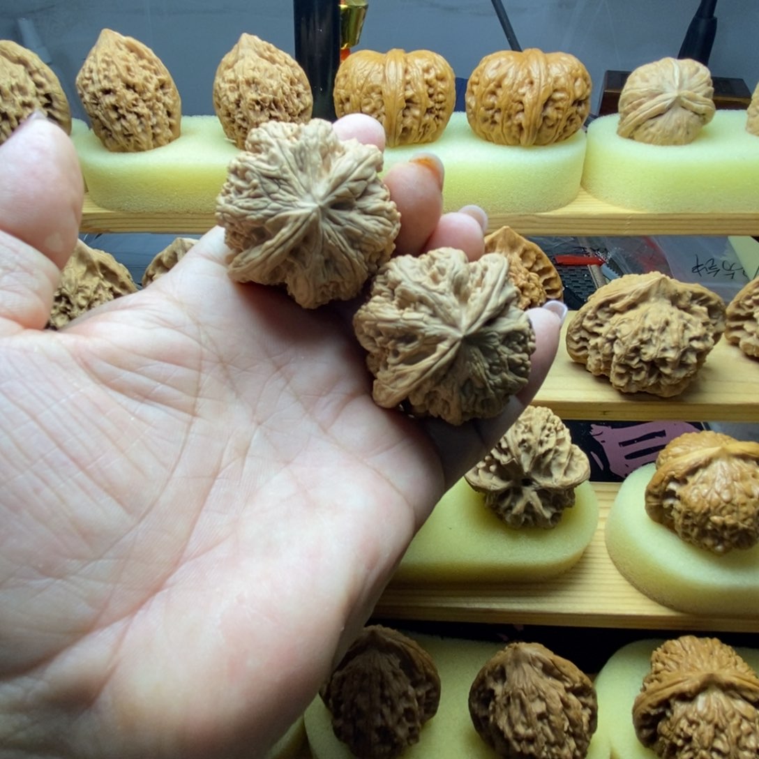 全品无修43大粗筋