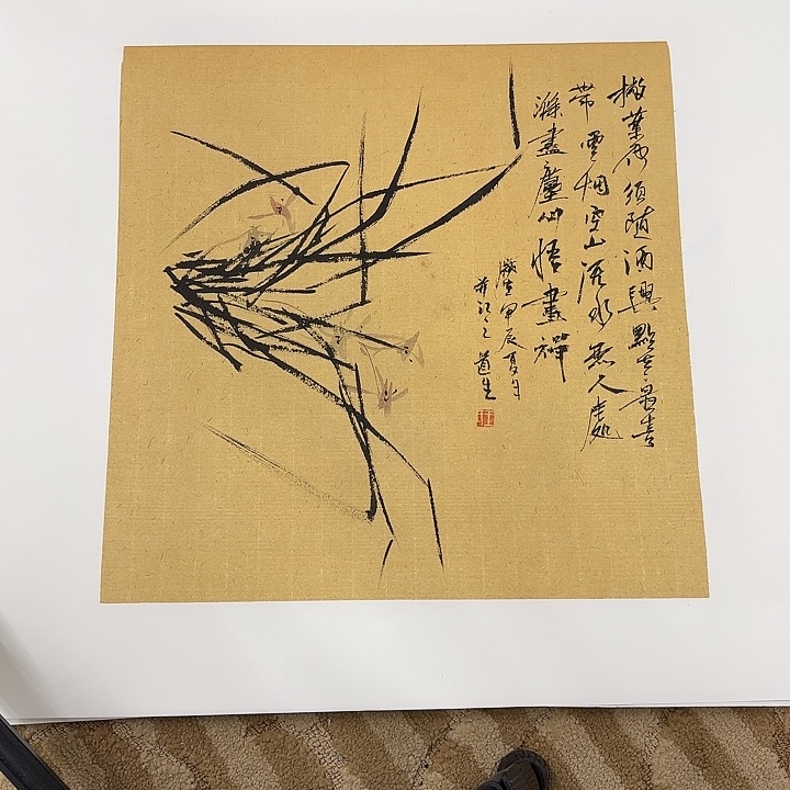 国画花鸟的翅膀和翅膀都是白色的