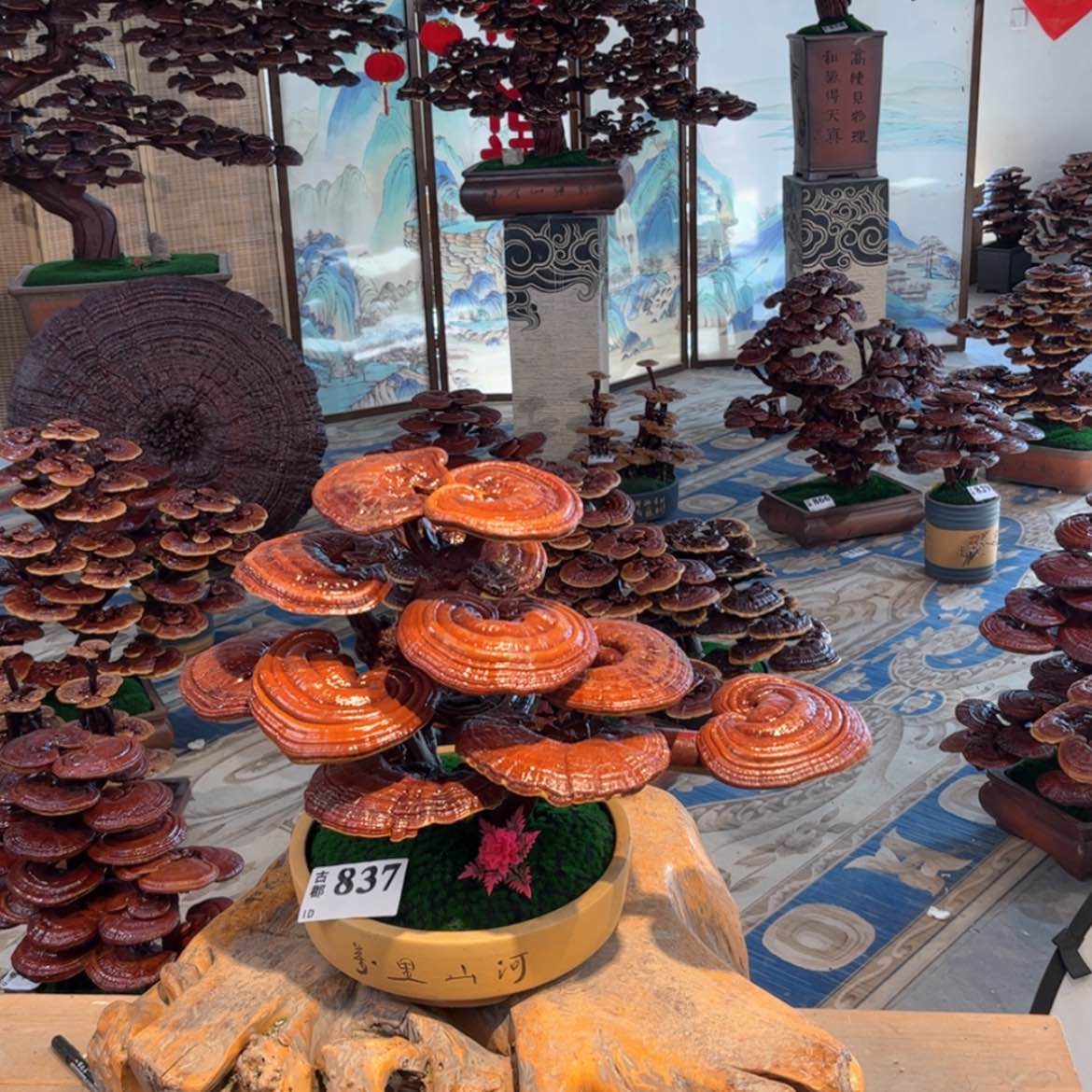 【闪购商品】88888