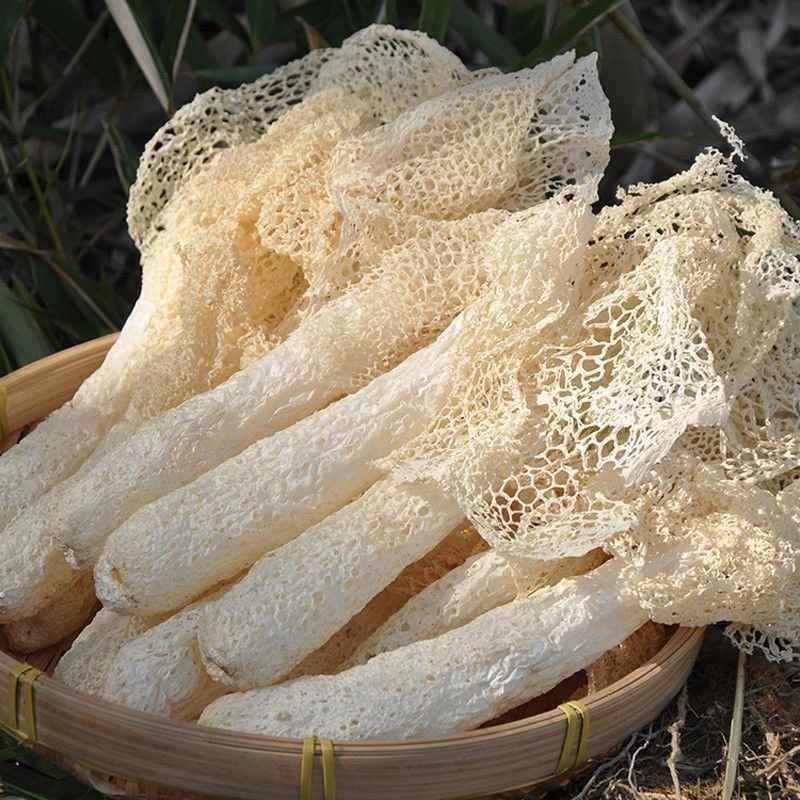 长裙竹荪干货无硫新货古田农家特产煲汤火锅食材菌菇干货