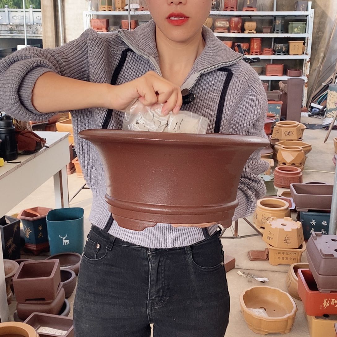 紫砂花盆紫砂花盆