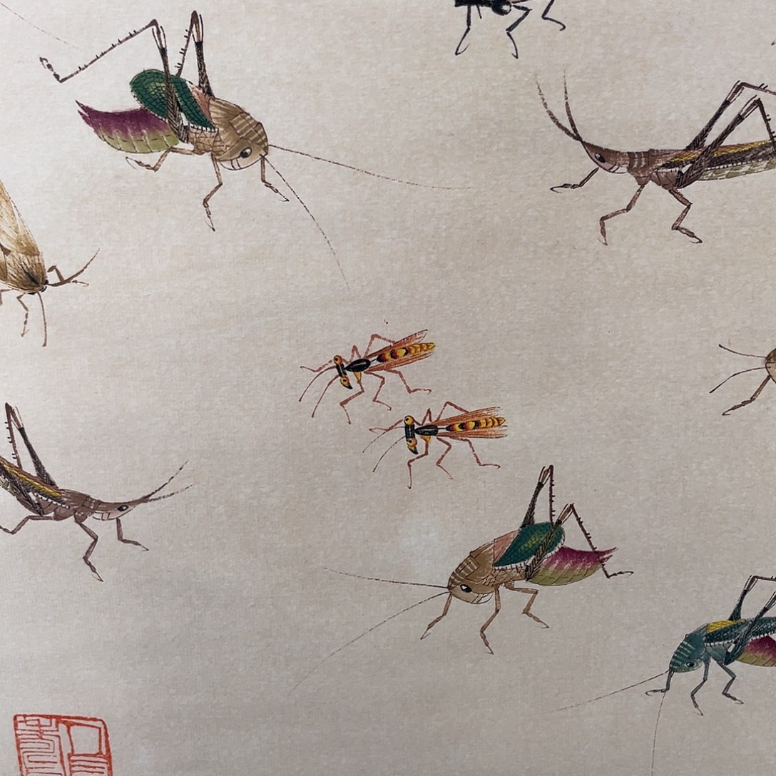 太***娃经典年画作品欣赏