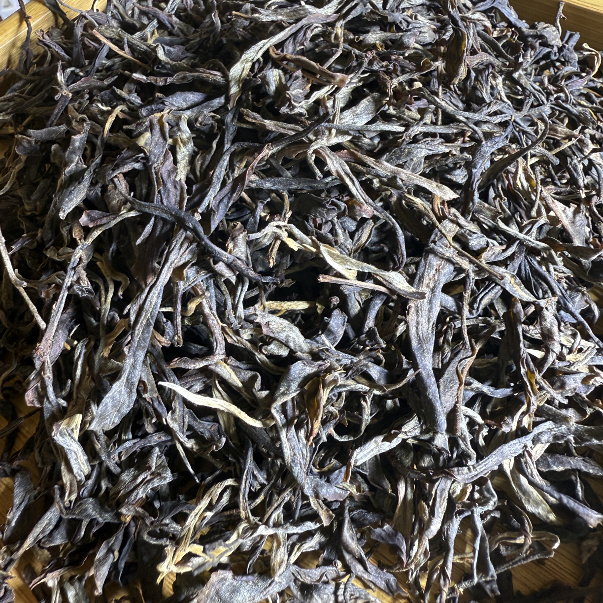 2025年云南勐库黄草林头春大树普洱生茶散 10月24日 （13号）