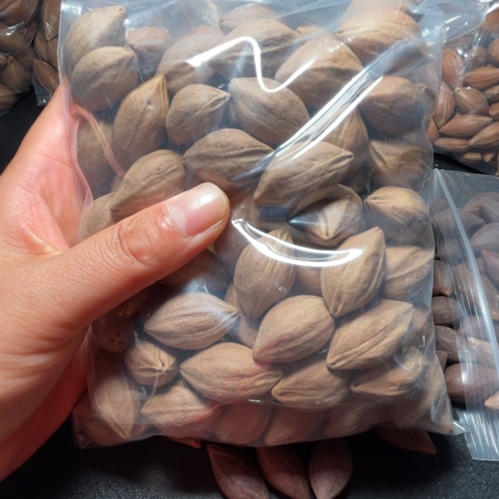 手串/手链猪牙我是