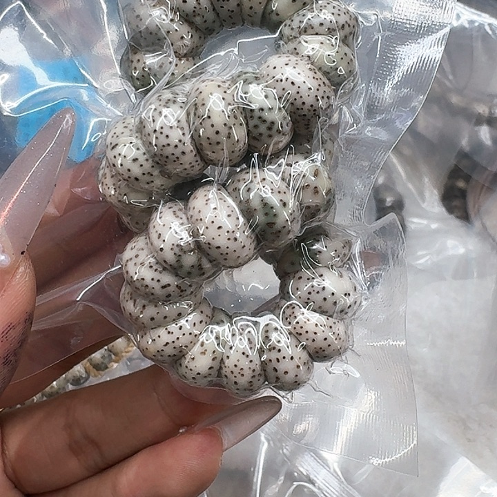 星月菩提手串494快乐星月菩提13