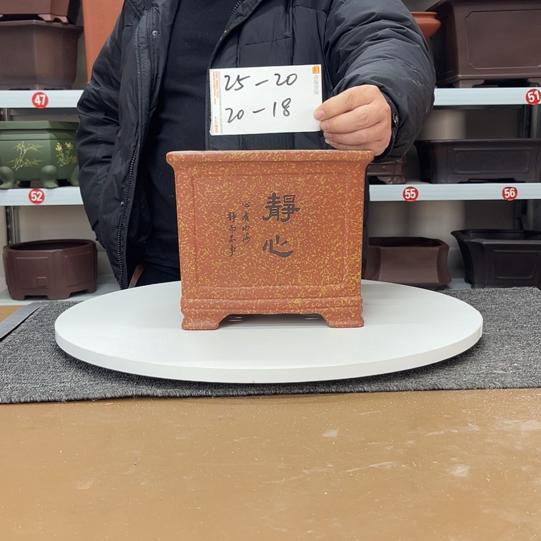 花盆紫砂在上世纪