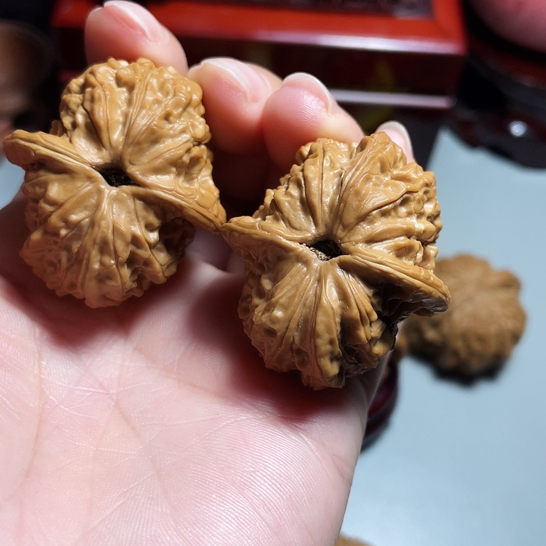 核桃手串/手链精品血麒麟36加