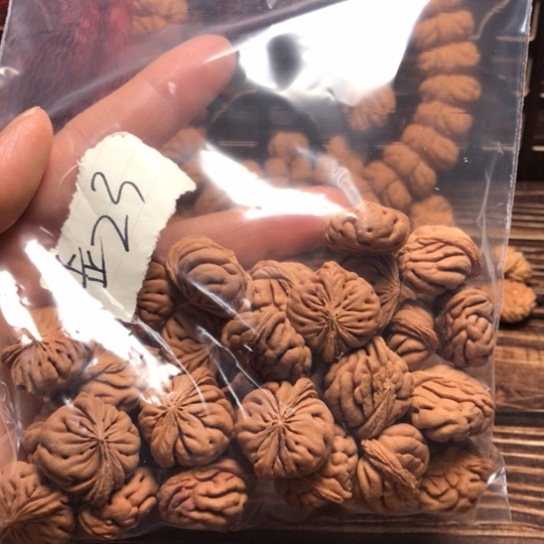 桃核手串三****术鱼肚散籽偏脊2330