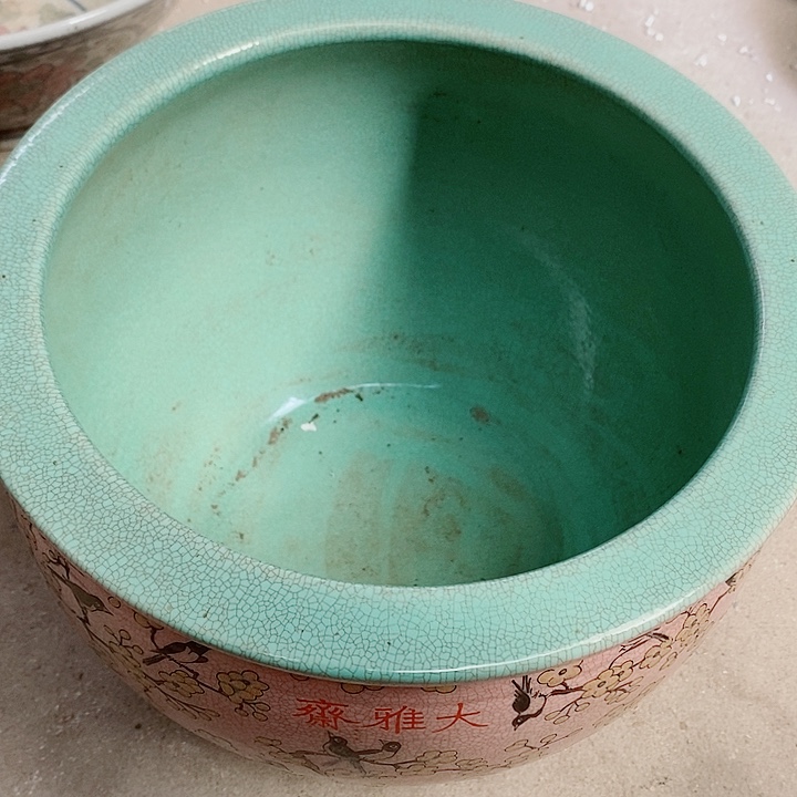 瓷片我也好可爱的啊