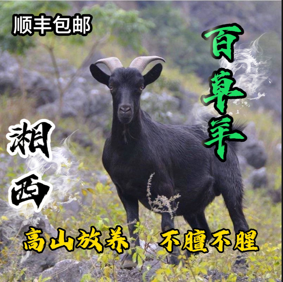 【整头/半羊+5KG现场称重】湘西+整扇/切块+80%腿排+顺丰包邮