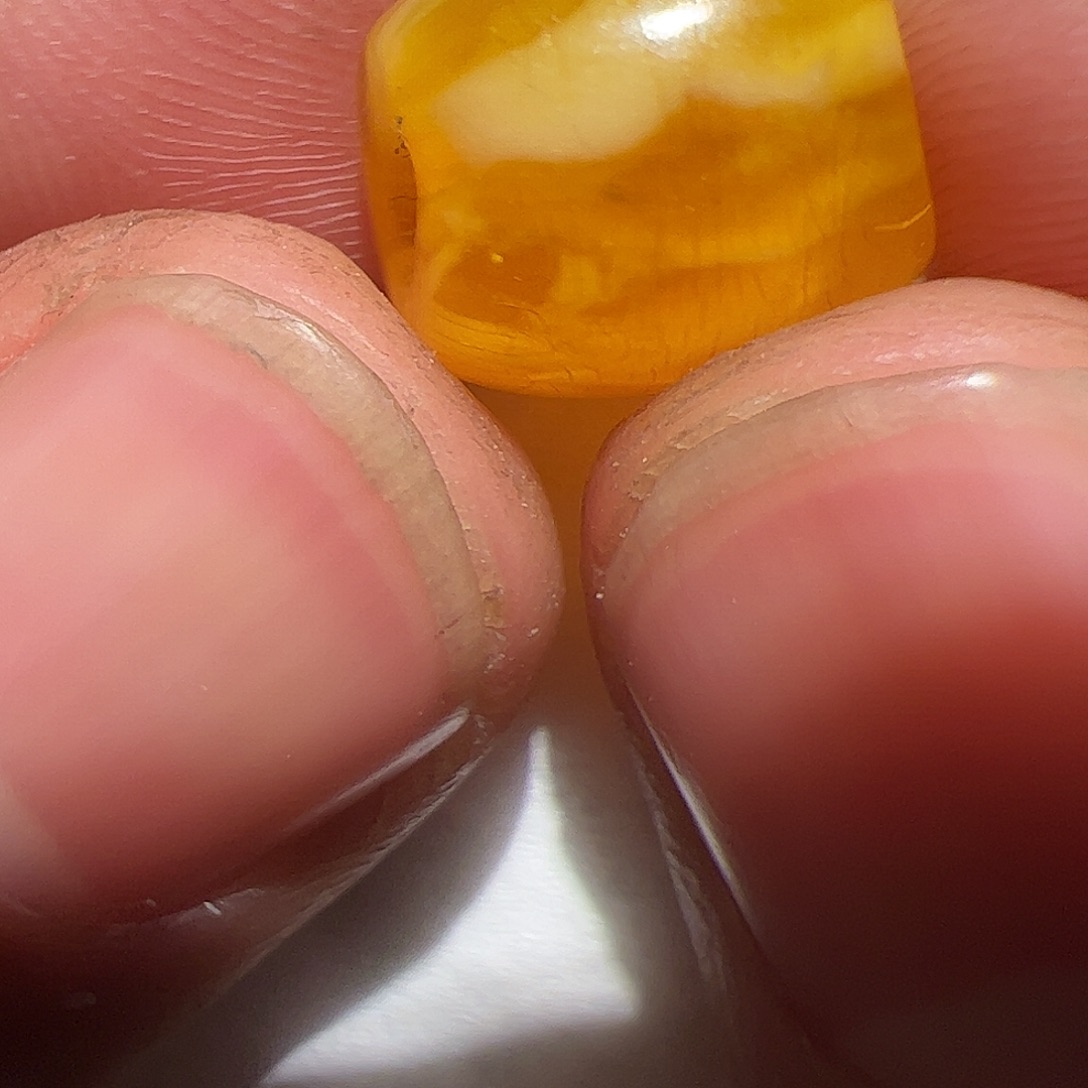 香榧木在这里的人