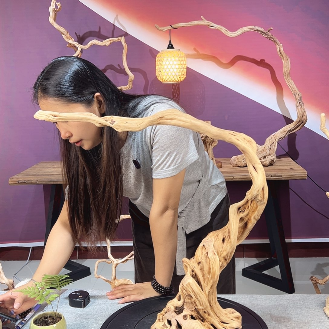 一***云天然杜鹃根根艺摆件