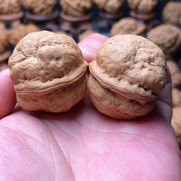 桃核把件百香金蟾……