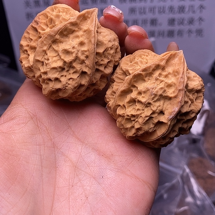 核桃云南野生铁核桃169号43mm