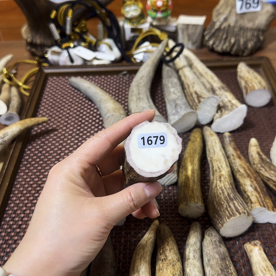 手串/手链鹿骨1679根段