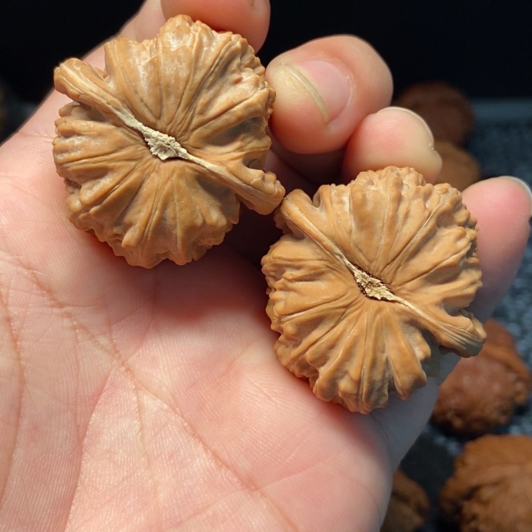 把件文玩核桃文玩核桃白狮子38全品