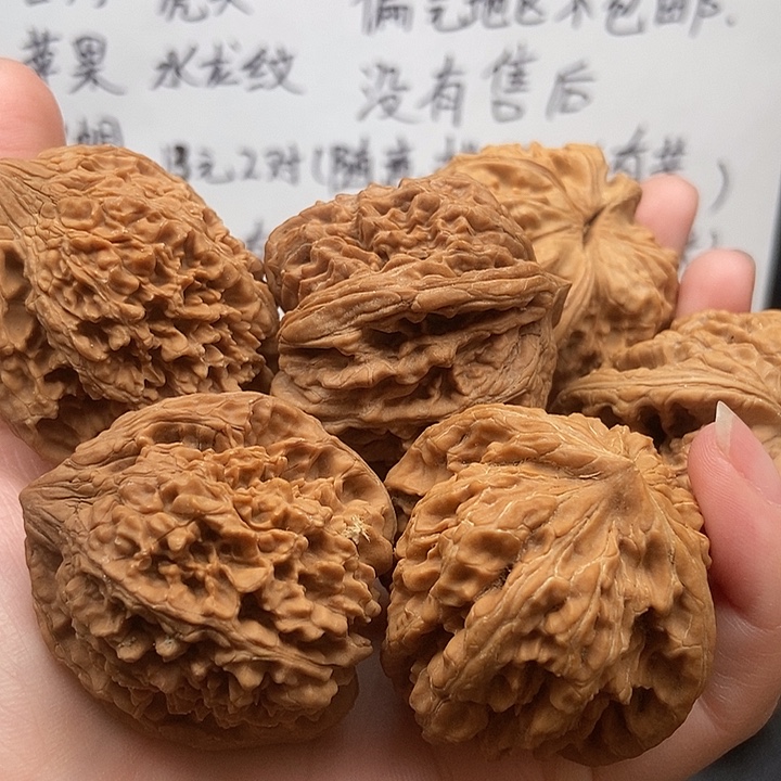 树***人大大大大大大大官帽