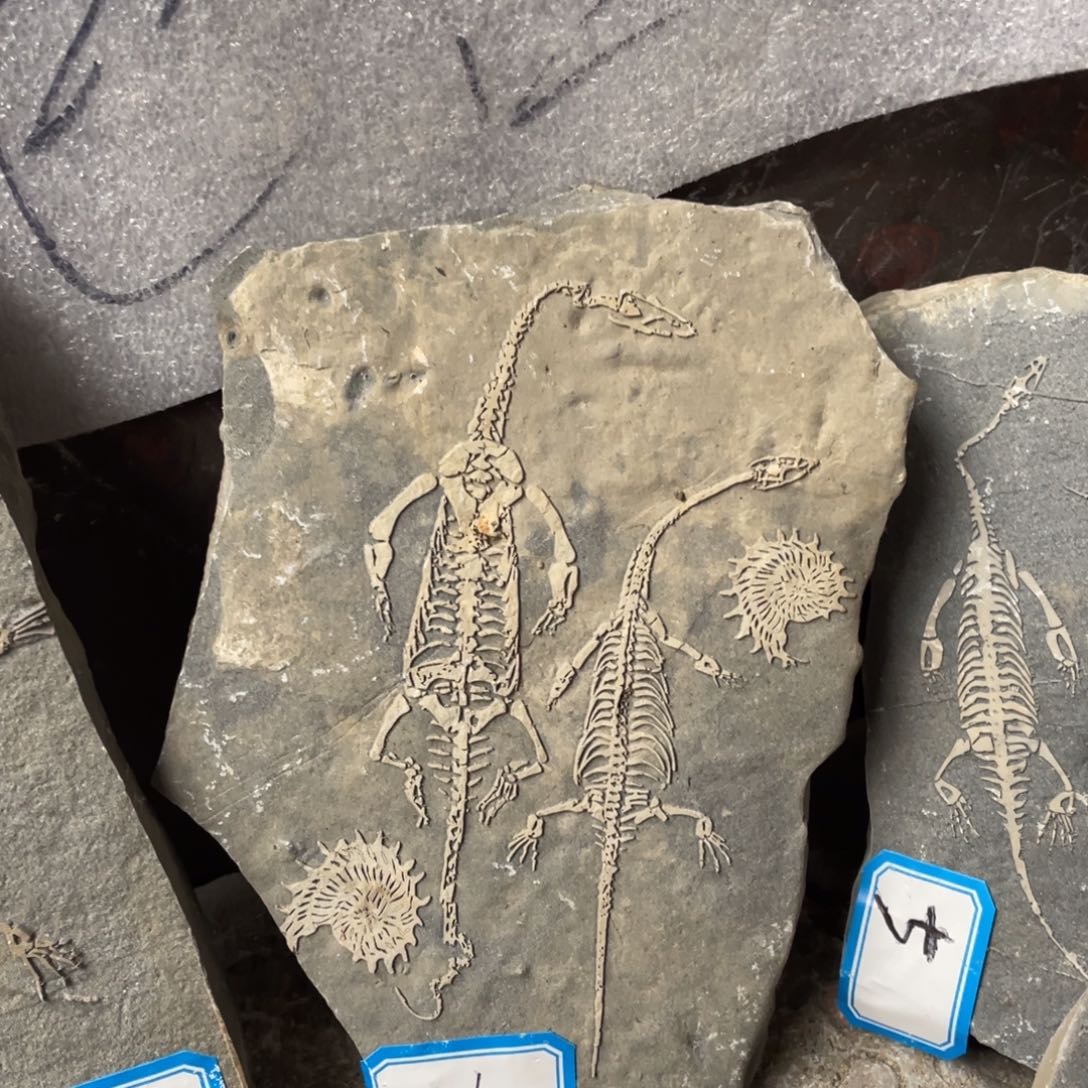 石材444444444444444444444444